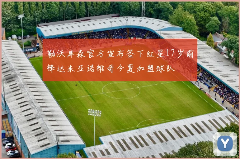 勒沃库森官方宣布签下红星17岁前锋达米亚诺维奇今夏加盟球队