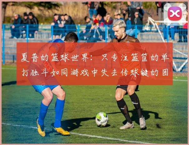 夏普的篮球世界：只专注篮筐的单打独斗如同游戏中失去传球键的困境