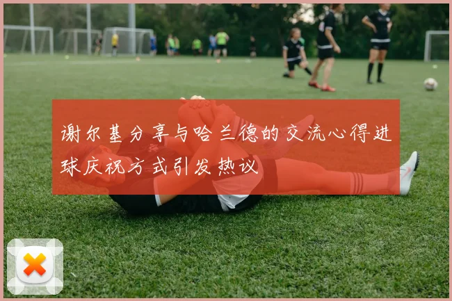 谢尔基分享与哈兰德的交流心得进球庆祝方式引发热议
